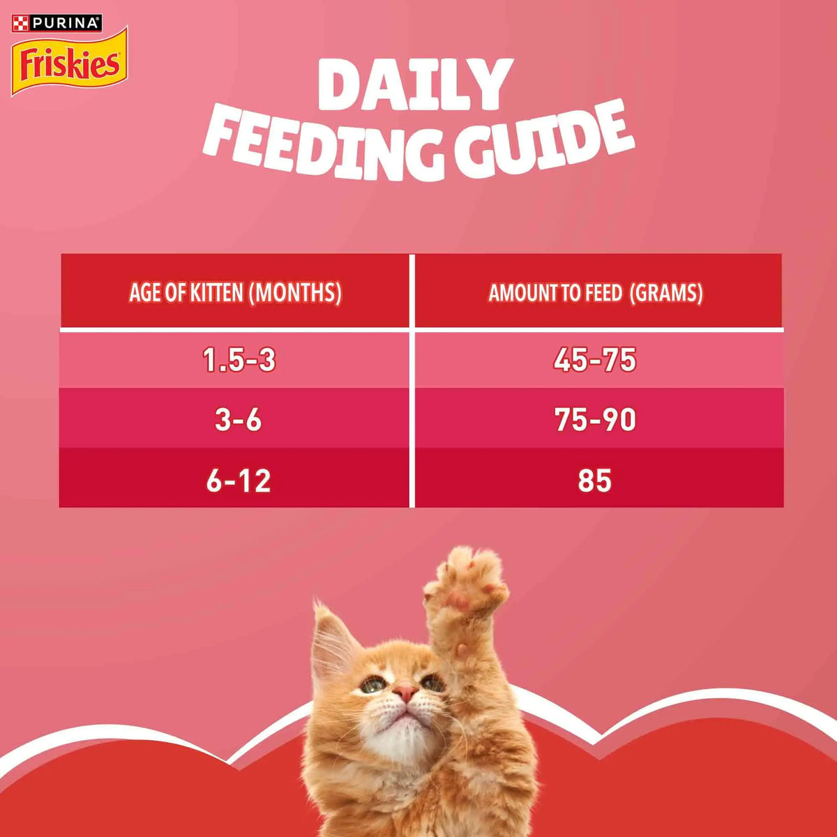 Purina Friskies Kitten Discoveries, Dry Food for Kitten, 1kg Pack PURINA