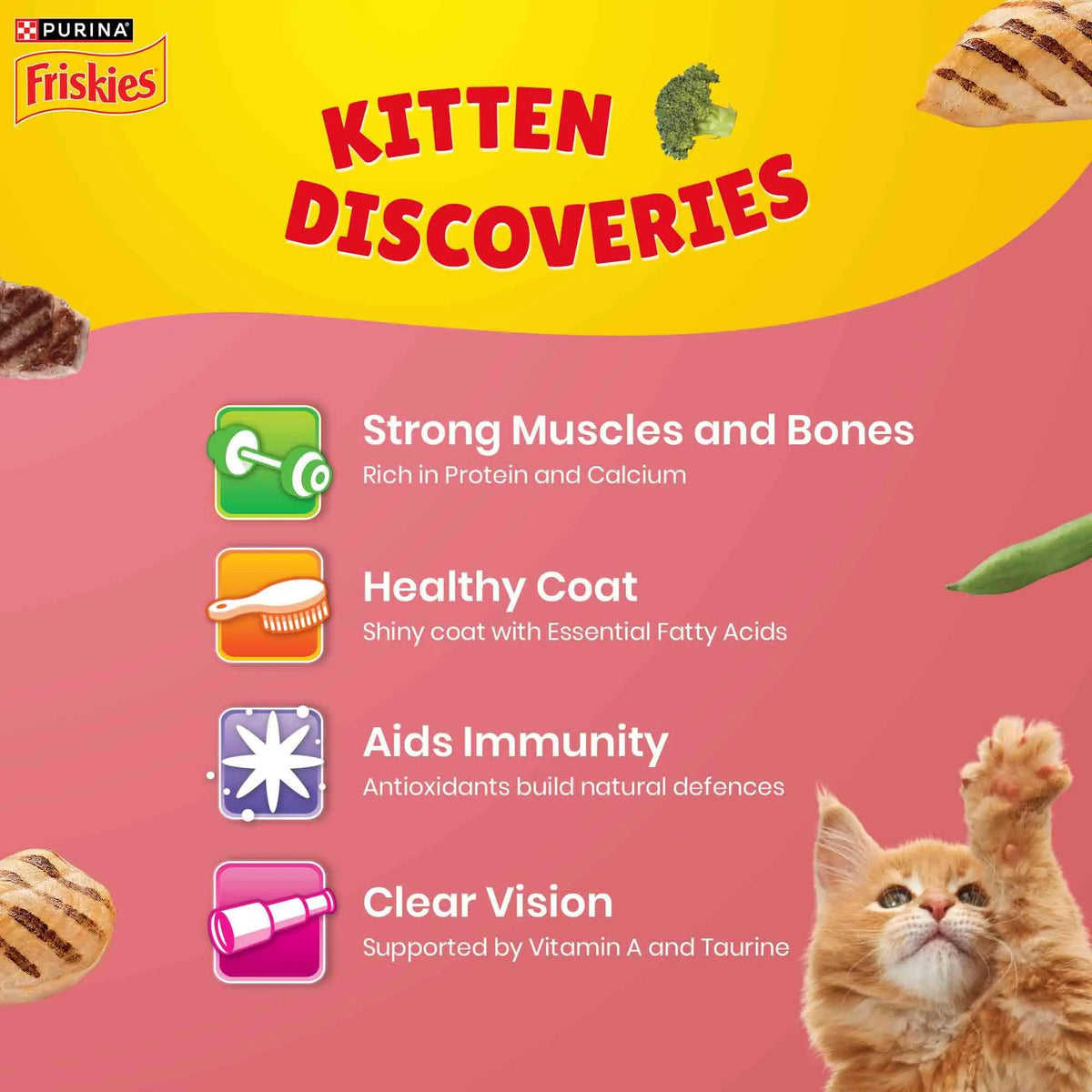 Purina Friskies Kitten Discoveries, Dry Food for Kitten, 1kg Pack PURINA