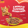 Purina Friskies Meat & Vegetable, Dry Food for Adult Cats, 2.5kg Pack PURINA