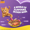 Purina Friskies Surfin' Favourites, Dry Food for Adult Cats, 1kg Pack PURINA