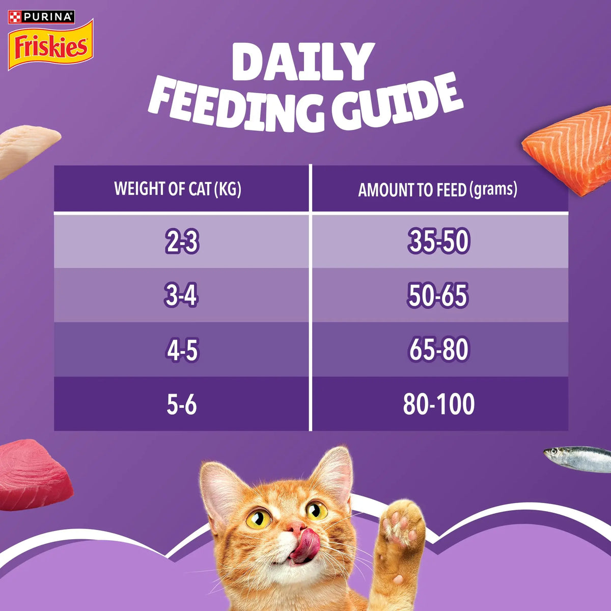 Purina Friskies Surfin' Favourites, Dry Food for Adult Cats, 1kg Pack PURINA
