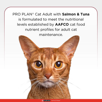 Purina Pro Plan Adult Cat Dry Food with Salmon & Tuna, 1.2kg Pack PURINA