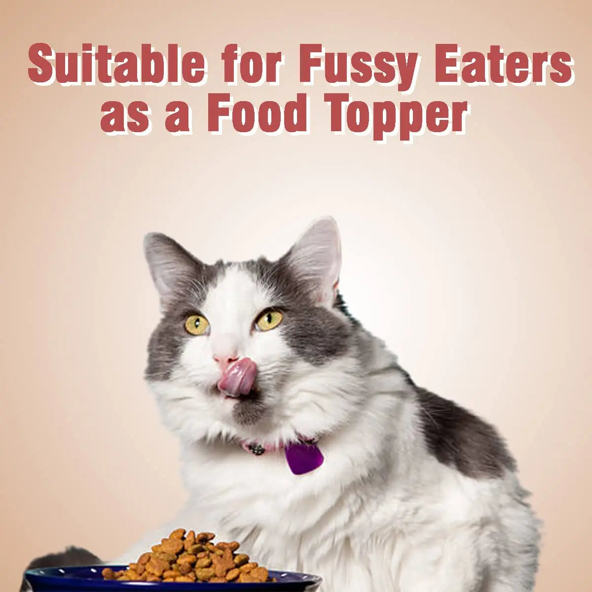 Rena Kitty Licks Cat Treats for Kittens |Rich Creamy Lickable Treat | No Artificial Colours | Improves The Skin and Coat | Rich in Fiber | Chicken Liver | Rena