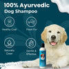 Richpet Ayurvedic Dog Shampoo and Conditioner for Long Coat Pets (300ml) – Long Coat Shampoo for Dogs & Cats with Moisturizing Aloe Formula for Soft, Silky, Tangle-Free Fur & Fresh Long-Lasting Scent Richpet