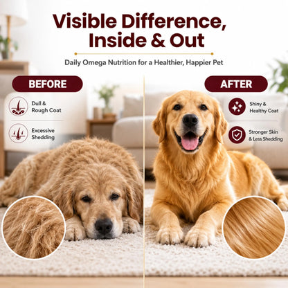 Richpet Fur Radiance Omega 369 for Dogs & Cats (220 ml), Dog Skin and Coat Supplement with EPA DHA, Omega 3 6 9 Liquid Formula, Vitamins, Biotin & Zinc for Healthy Skin, Shiny Coat & Reduced Shedding Richpet
