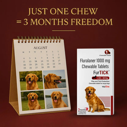 Richpet Furtick Fluralaner 1000mg Flea & Tick Tablet for Dogs 20-40kg, 3 Month Protection Against Fleas, Ticks & Mites Richpet