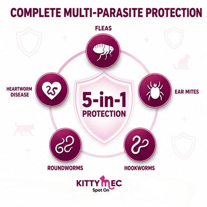 Richpet KittyMec Selamectin 6% Spot On for Cats & Kittens (5 to 7.5 kg) | Advanced Flea, Tick, Ear Mite, Hookworm & Roundworm Protection | Waterproof Formula, (1 Month Supply) Richpet