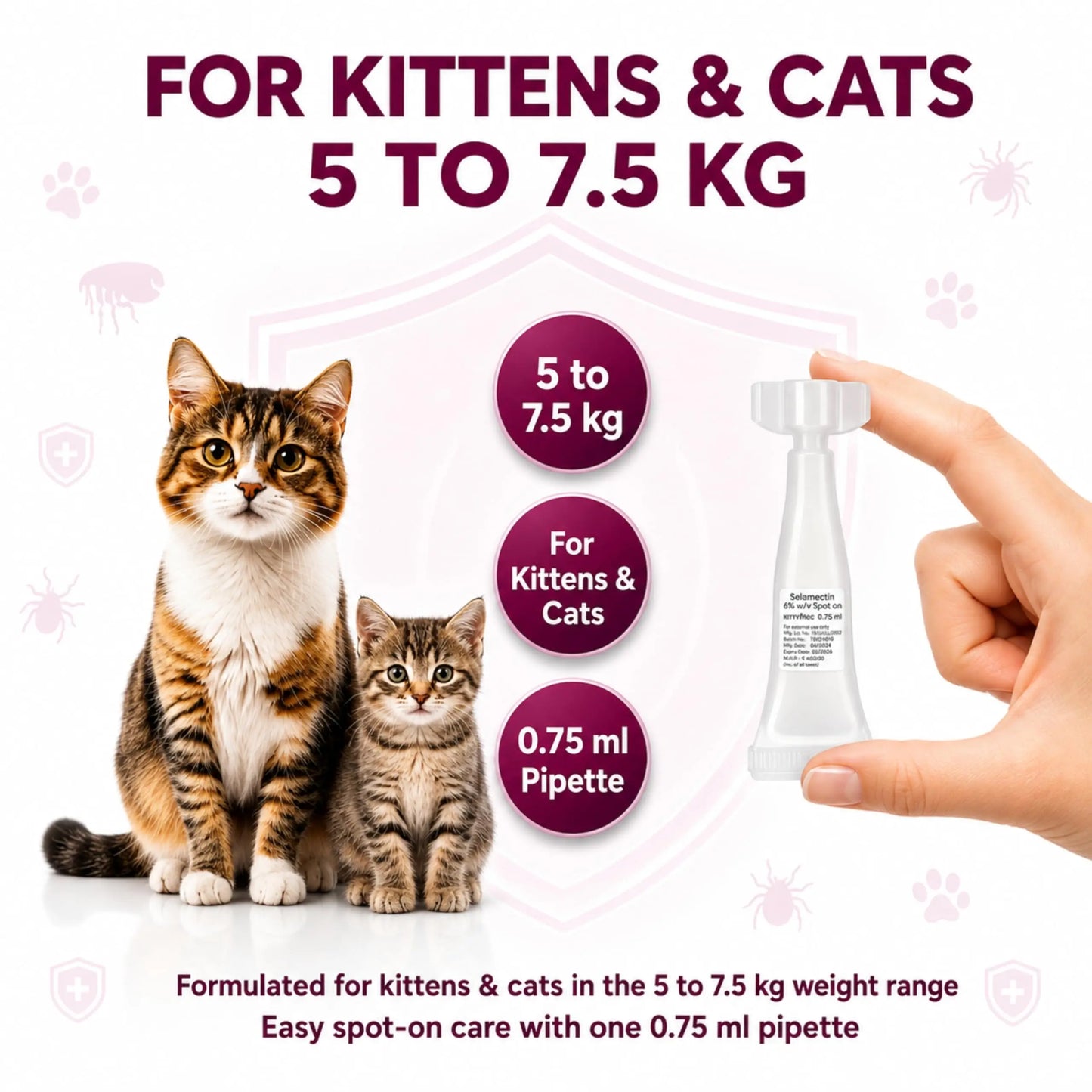 Richpet KittyMec Selamectin 6% Spot On for Cats & Kittens (5 to 7.5 kg) | Advanced Flea, Tick, Ear Mite, Hookworm & Roundworm Protection | Waterproof Formula, (1 Month Supply) Richpet