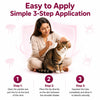 Richpet KittyMec Selamectin 6% Spot On for Cats & Kittens (5 to 7.5 kg) | Advanced Flea, Tick, Ear Mite, Hookworm & Roundworm Protection | Waterproof Formula, (1 Month Supply) Richpet