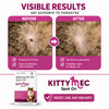 Richpet KittyMec Selamectin 6% Spot On for Cats & Kittens (5 to 7.5 kg) | Advanced Flea, Tick, Ear Mite, Hookworm & Roundworm Protection | Waterproof Formula, (1 Month Supply) Richpet