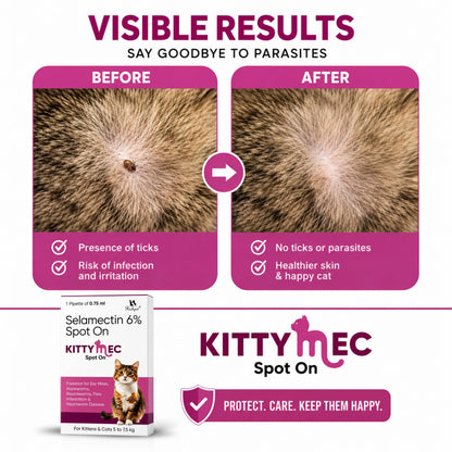 Richpet KittyMec Selamectin 6% Spot On for Cats & Kittens (5 to 7.5 kg) | Advanced Flea, Tick, Ear Mite, Hookworm & Roundworm Protection | Waterproof Formula, (1 Month Supply) Richpet