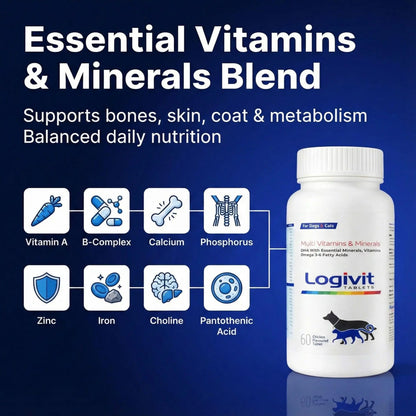 Richpet Logivit Dog Multivitamin Tablets with Chicken Flavour (60-Tablets), Daily Health Supplement for Dogs & Cats with Vitamins, Minerals and Omega 3‑6 Richpet