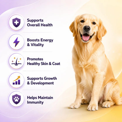 Richpet Logivit Multivitamin Syrup for Dogs & Cats | Daily Health Tonic for Immunity, Energy & Growth | Supports Skin & Coat | Vitamin, Mineral & Amino Acid Supplement - 225ml Richpet