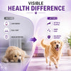 Richpet Logivit Multivitamin Syrup for Dogs & Cats | Daily Health Tonic for Immunity, Energy & Growth | Supports Skin & Coat | Vitamin, Mineral & Amino Acid Supplement - 225ml Richpet