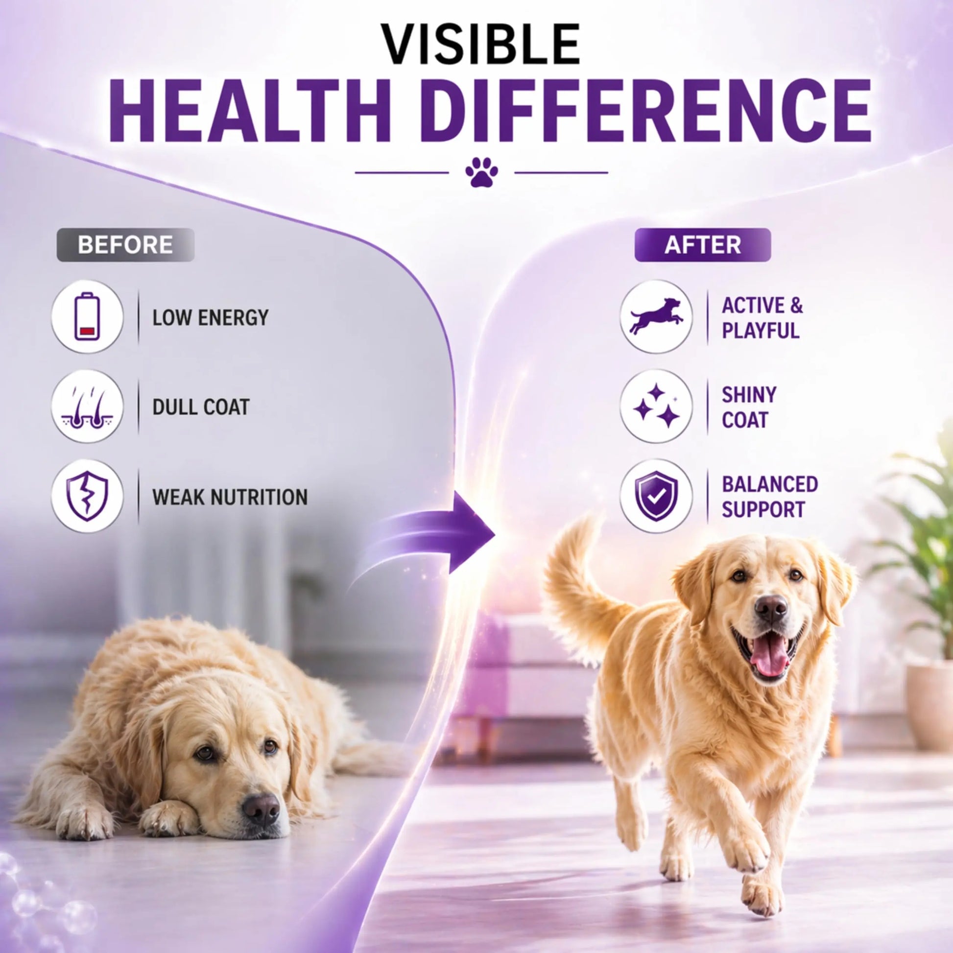 Richpet Logivit Multivitamin Syrup for Dogs & Cats | Daily Health Tonic for Immunity, Energy & Growth | Supports Skin & Coat | Vitamin, Mineral & Amino Acid Supplement - 225ml Richpet