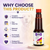 Richpet Logivit Multivitamin Syrup for Dogs & Cats | Daily Health Tonic for Immunity, Energy & Growth | Supports Skin & Coat | Vitamin, Mineral & Amino Acid Supplement - 225ml Richpet