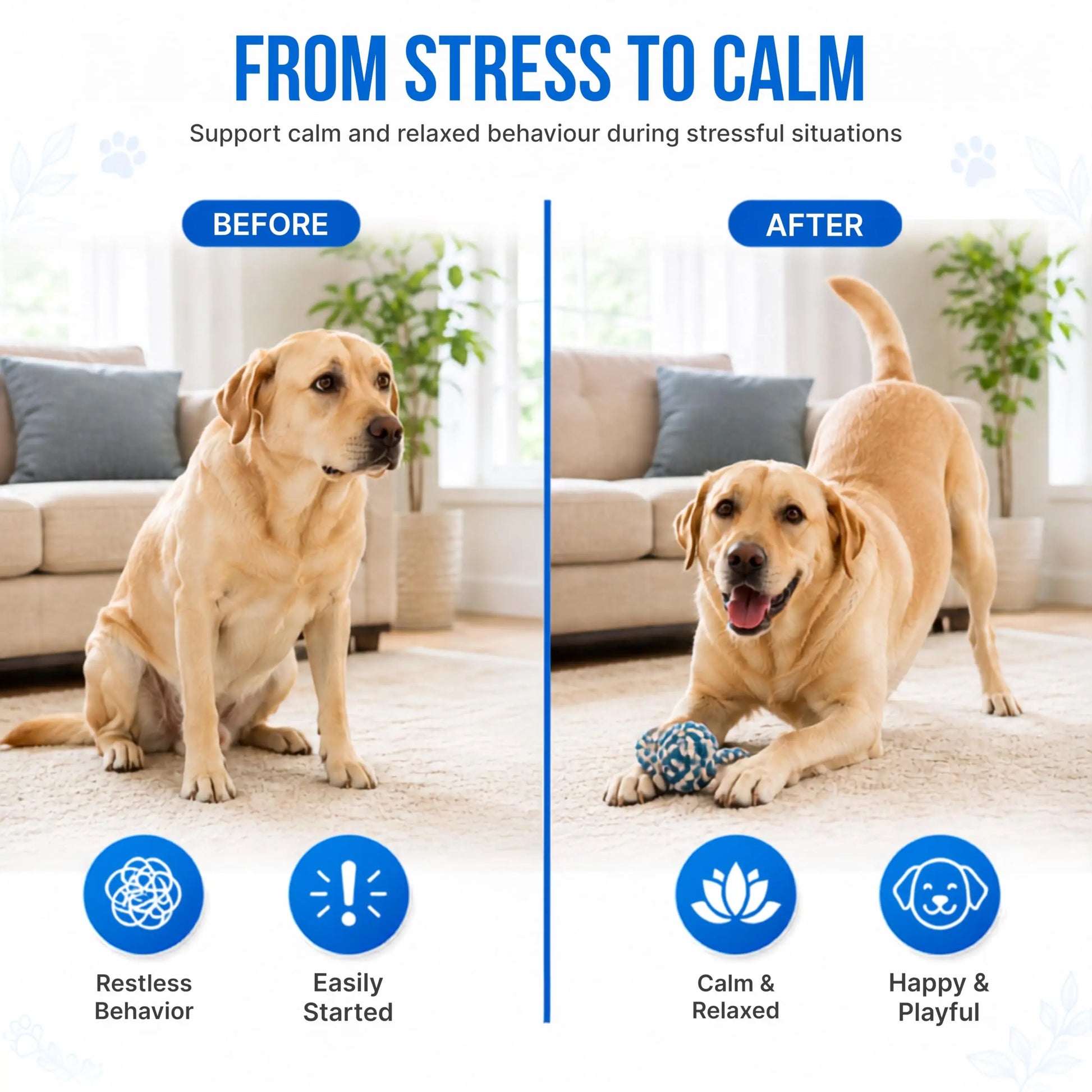 Richpet Mind Calming Tablets for Dogs & Cats – 30 Tablets Richpet