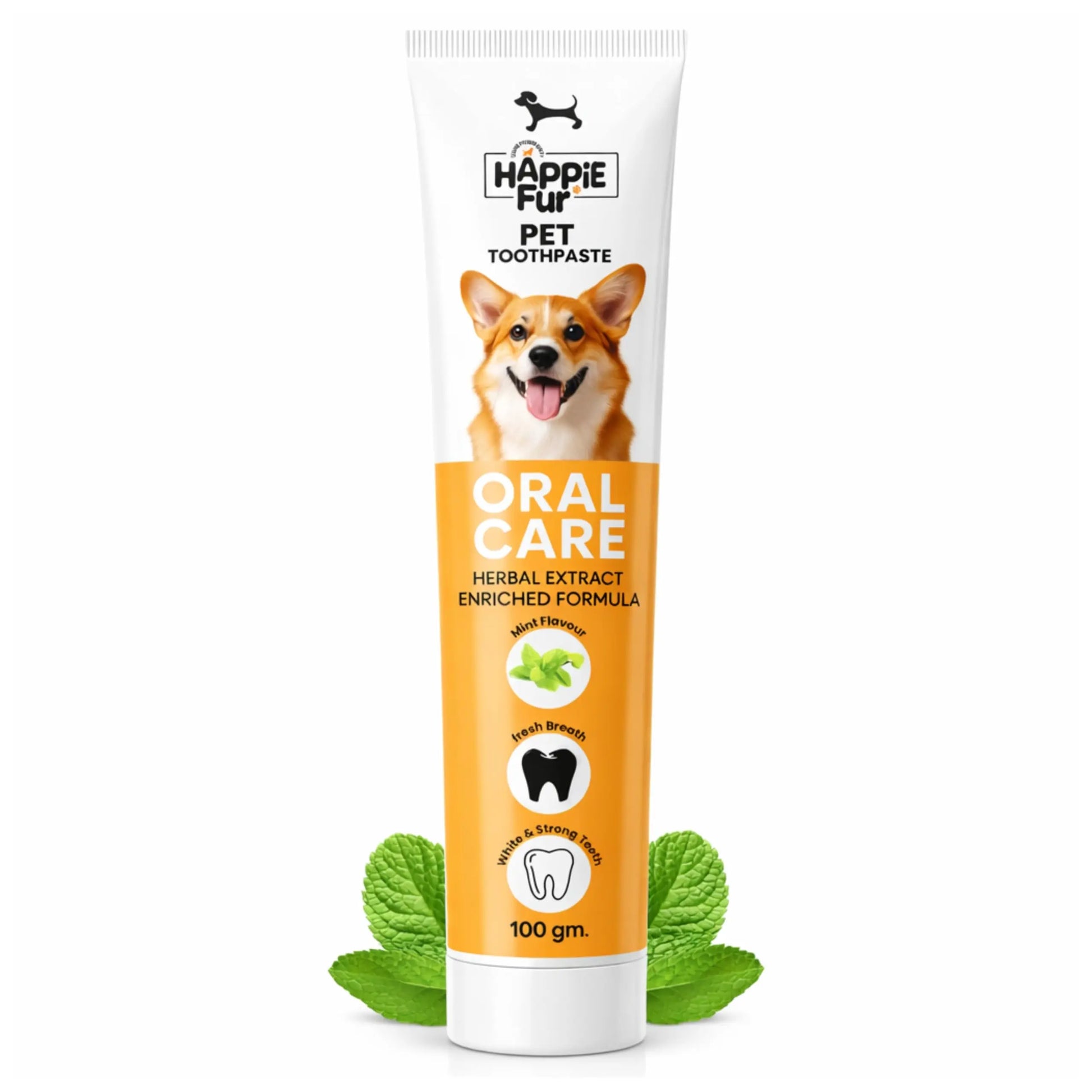 Richpet Mint Flavour Dog Toothpaste (100g) – Gently Removes Plaque & Tartar, Freshens Breath, and Supports Healthy Gums Richpet