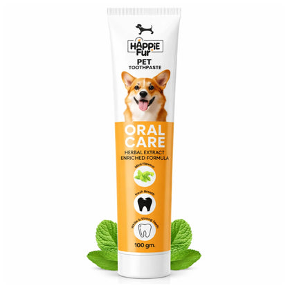 Richpet Mint Flavour Dog Toothpaste (100g) – Gently Removes Plaque & Tartar, Freshens Breath, and Supports Healthy Gums Richpet