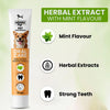 Richpet Mint Flavour Dog Toothpaste (100g) – Gently Removes Plaque & Tartar, Freshens Breath, and Supports Healthy Gums Richpet