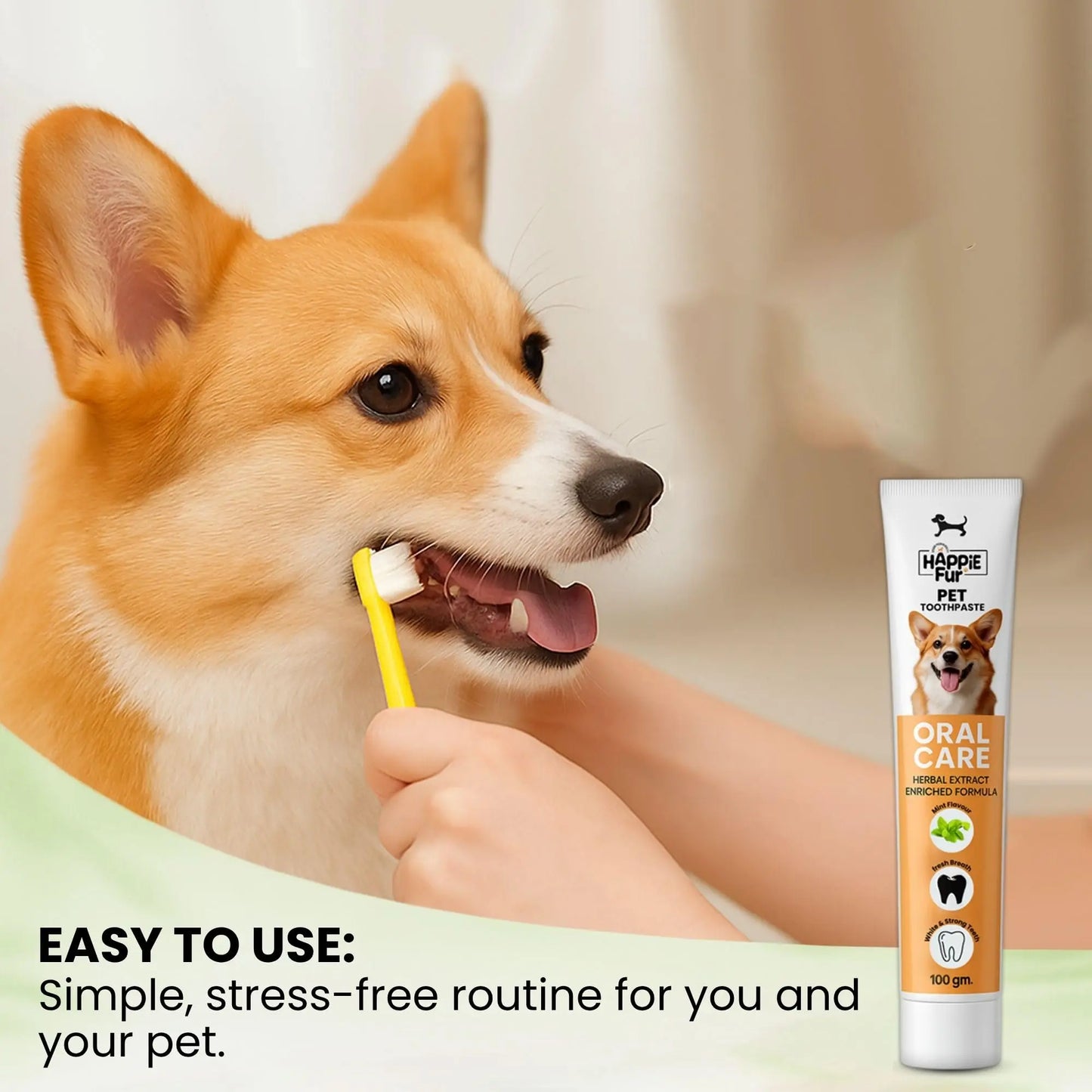 Richpet Mint Flavour Dog Toothpaste (100g) – Gently Removes Plaque & Tartar, Freshens Breath, and Supports Healthy Gums Richpet