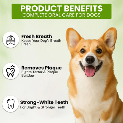 Richpet Mint Flavour Dog Toothpaste (100g) – Gently Removes Plaque & Tartar, Freshens Breath, and Supports Healthy Gums Richpet