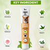 Richpet Mint Flavour Dog Toothpaste (100g) – Gently Removes Plaque & Tartar, Freshens Breath, and Supports Healthy Gums Richpet