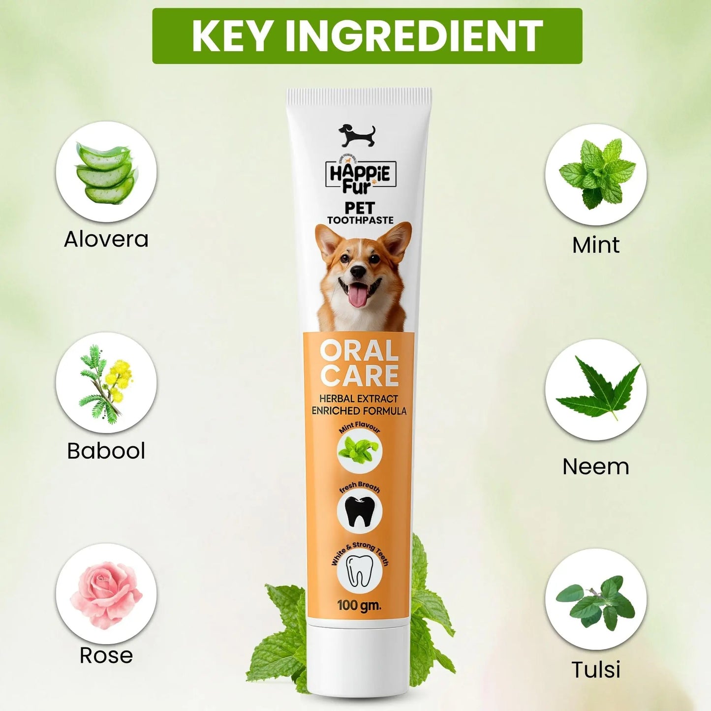 Richpet Mint Flavour Dog Toothpaste (100g) – Gently Removes Plaque & Tartar, Freshens Breath, and Supports Healthy Gums Richpet