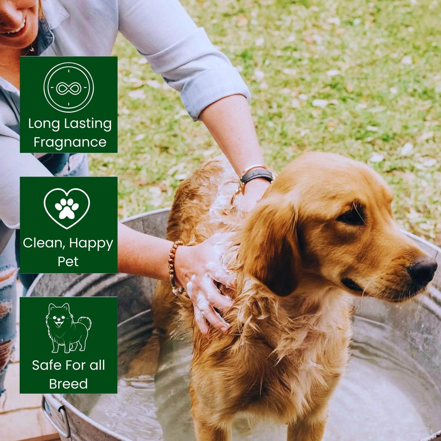 Richpet Neem & Aloe Vera Pet Shampoo for Dogs & Cats, Gentle Cleansing Formula for Healthy Coat, 300ml Richpet