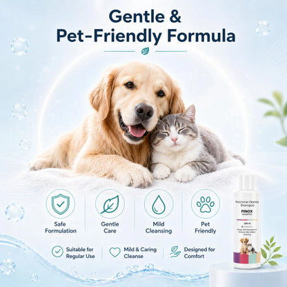 Richpet Pinox Shampoo for Dogs & Cats 200ml | Piroctone Olamine Formula for Itchy Skin Care & Coat Hygiene | Soothing Pet Cleanser for Sensitive Skin & Daily Grooming Richpet