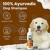 Richpet Short Coat Shampoo for Dogs & Cats (300ml) – Gentle Short Coat Dog Shampoo with Inbuilt Conditioner, Nourishing Formula for Soft, Smooth, Silky & Shiny Fur (Shampoo + Scrubber) Richpet