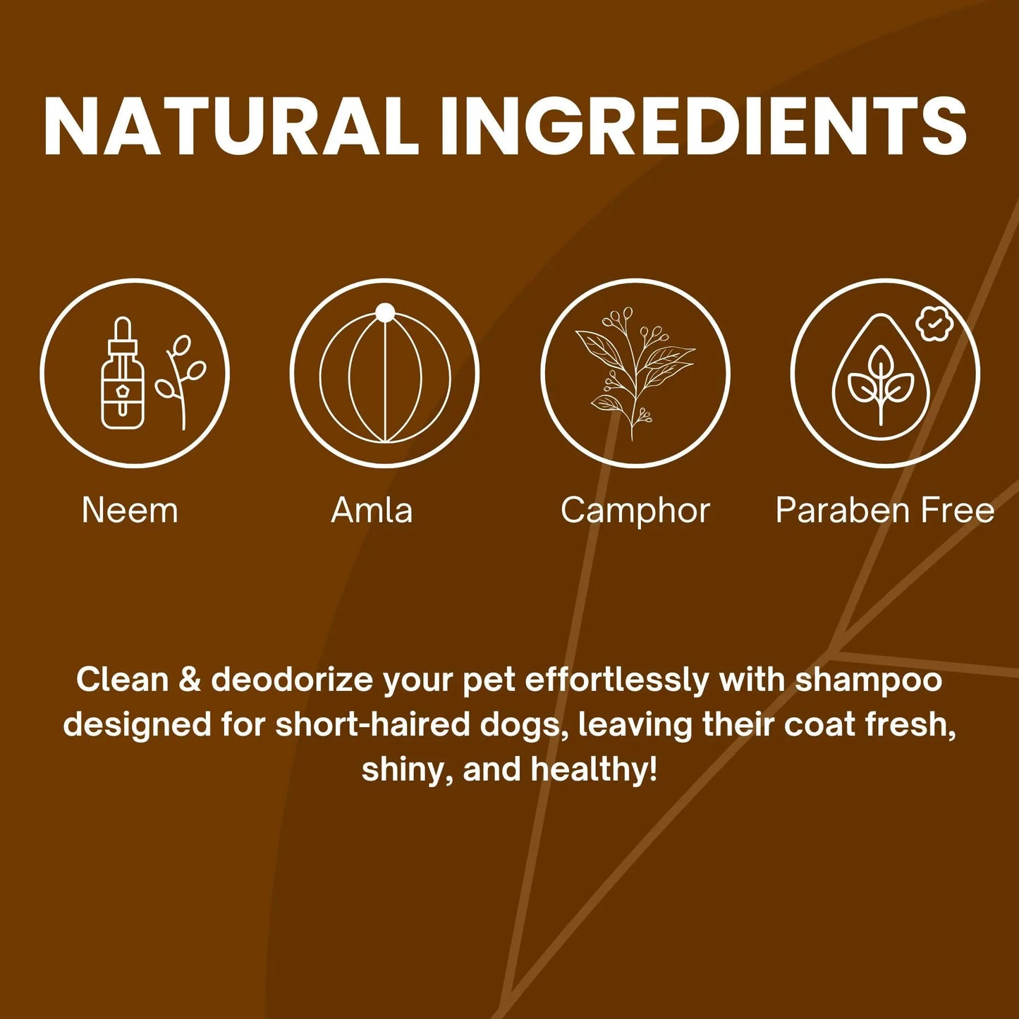 Richpet Short Coat Shampoo for Dogs & Cats (300ml) – Gentle Short Coat Dog Shampoo with Inbuilt Conditioner, Nourishing Formula for Soft, Smooth, Silky & Shiny Fur (Shampoo + Scrubber) Richpet
