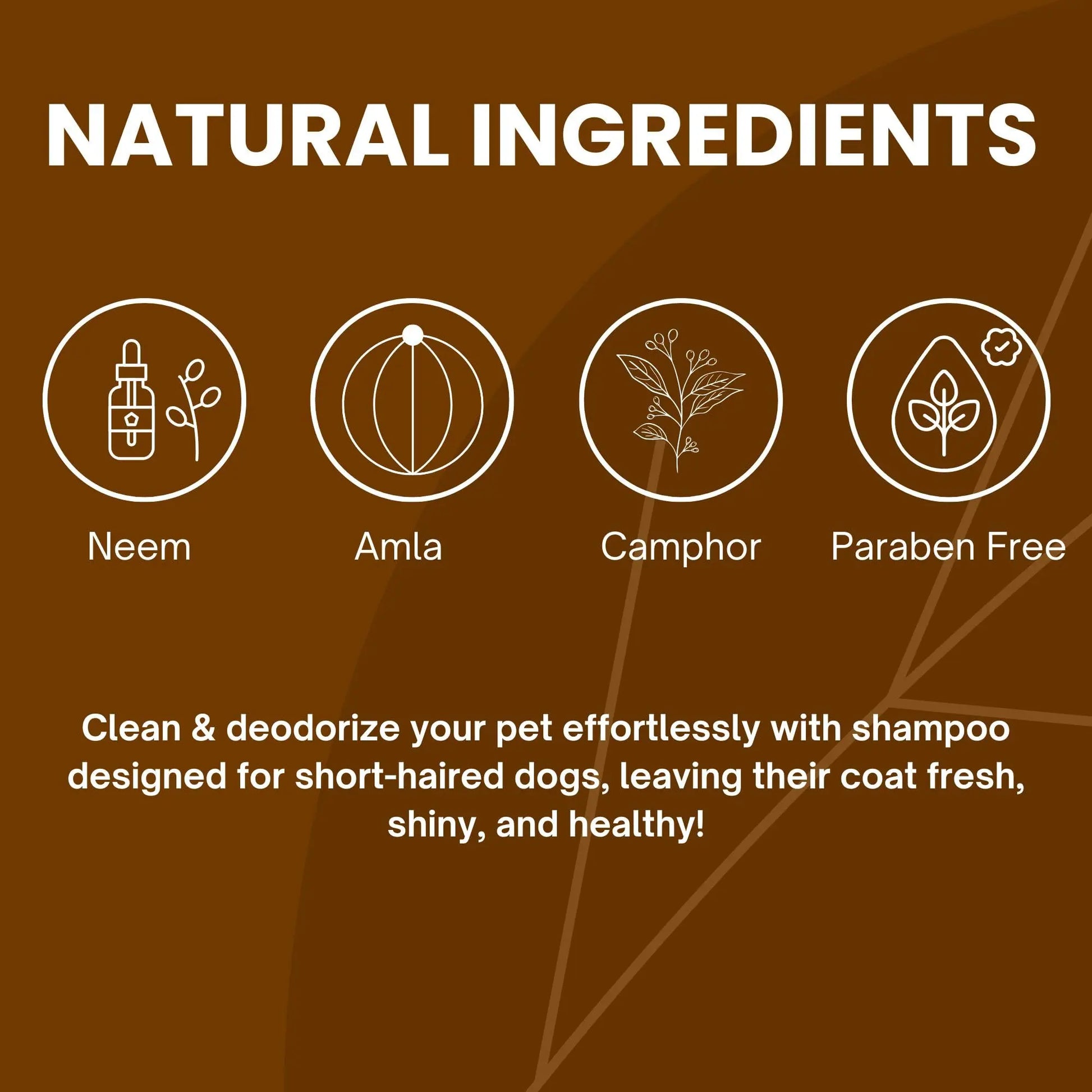 Richpet Short Coat Shampoo for Dogs & Cats (300ml) – Gentle Short Coat Dog Shampoo with Inbuilt Conditioner, Nourishing Formula for Soft, Smooth, Silky & Shiny Fur (Shampoo + Scrubber) Richpet