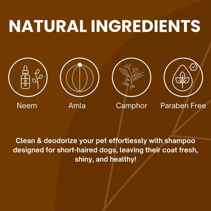 Richpet Short Coat Shampoo for Dogs & Cats (300ml) – Gentle Short Coat Dog Shampoo with Inbuilt Conditioner, Nourishing Formula for Soft, Smooth, Silky & Shiny Fur (Shampoo + Scrubber) Richpet