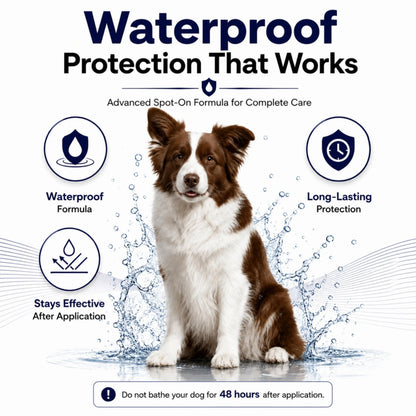 Richpet Spot On for Dogs (10–20 kg), Monthly Flea, Tick & Chewing Lice Treatment, Topical Parasite Protection Medilogy Biotech