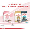 Royal Canin Canned Cat Food, Kitten Instinctive (Pack of 24 3-Ounce Cans) ROYAL CANIN
