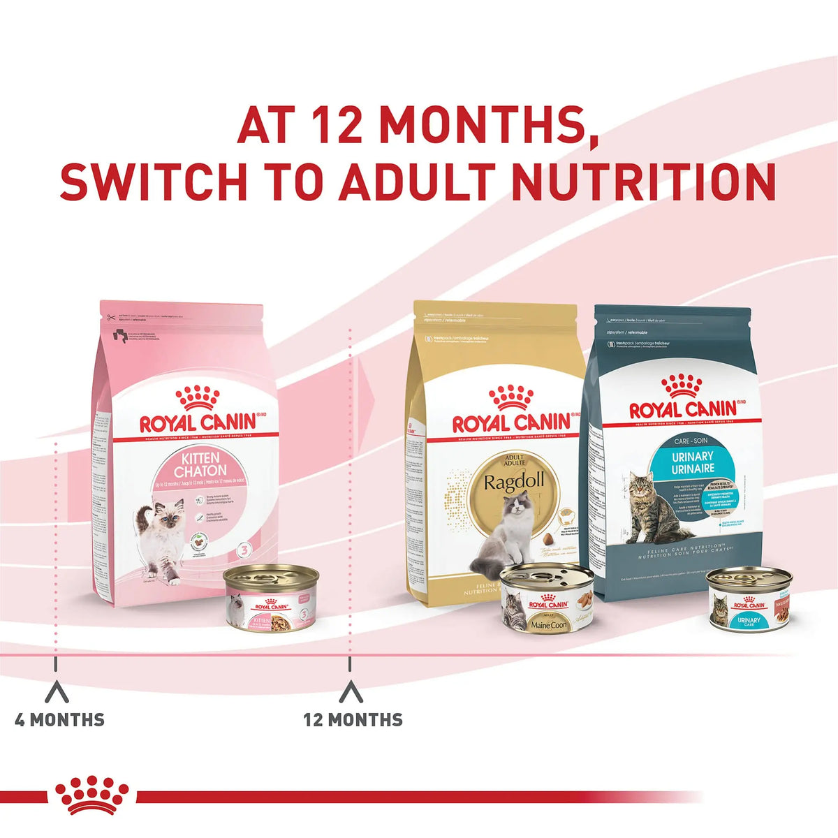 Royal Canin Canned Cat Food, Kitten Instinctive (Pack of 24 3-Ounce Cans) ROYAL CANIN