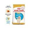 Royal Canin Golden Retriver Puppy Food, Dry Food, Helps with Healthy Skin & Coat, Supports Immune System & Digestive Health, 3 Kg ROYAL CANIN
