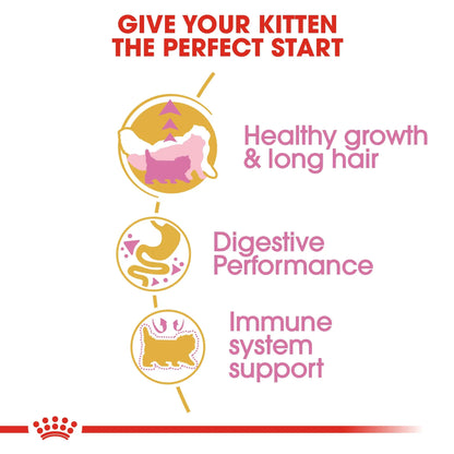 Royal Canin Persian Kitten Food, 400 Grams, Dry Food, Supports Healthy Growth & Long Hair, Digestive Health, and Immunity System ROYAL CANIN