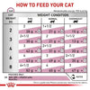 Royal Canin Renal with Tuna Feline (Pack of 12) ROYAL CANIN