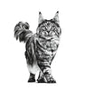 Royal Canin Renal with Tuna Feline (Pack of 12) ROYAL CANIN