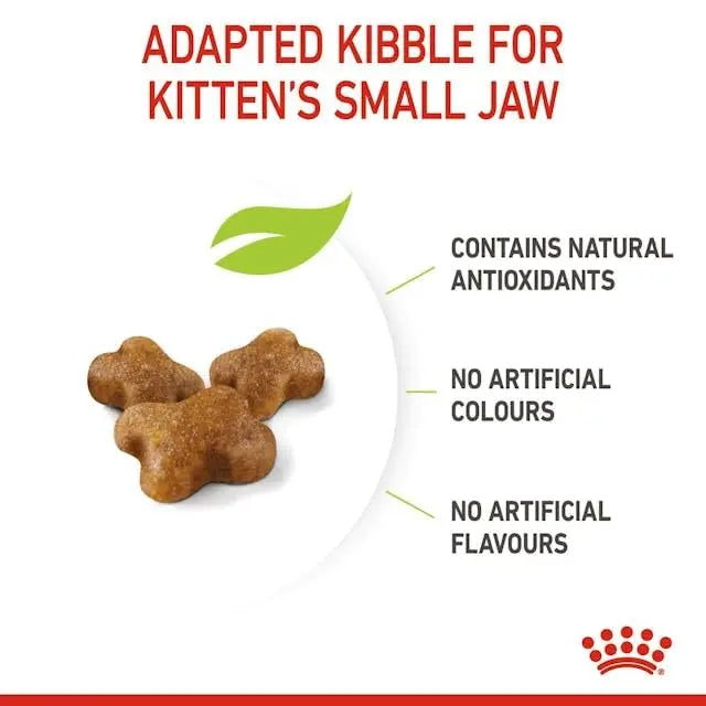 Royal Canin Second Age Kitten Food, 400 Grams, Dry Food containing Antioxidants with no artificial colors & flavors, Supports Brain Development & Microbiome, Promotes a strong Immune System ROYAL CANIN