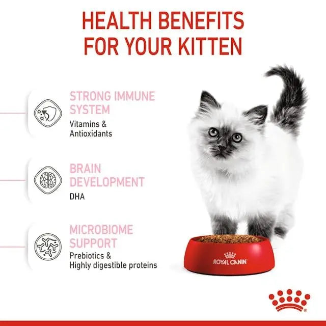 Royal Canin Second Age Kitten Food, 400 Grams, Dry Food containing Antioxidants with no artificial colors & flavors, Supports Brain Development & Microbiome, Promotes a strong Immune System ROYAL CANIN