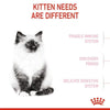 Royal Canin Second Age Kitten Food, 400 Grams, Dry Food containing Antioxidants with no artificial colors & flavors, Supports Brain Development & Microbiome, Promotes a strong Immune System ROYAL CANIN