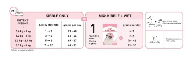 Royal Canin Second Age Kitten Food, 400 Grams, Dry Food containing Antioxidants with no artificial colors & flavors, Supports Brain Development & Microbiome, Promotes a strong Immune System ROYAL CANIN