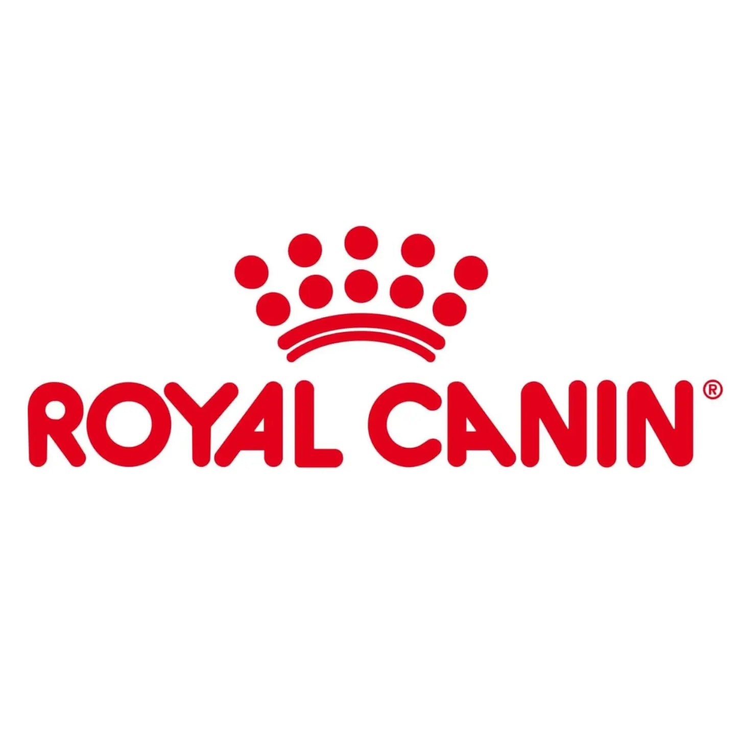 Royal Canin Second Age Kitten Food, 400 Grams, Dry Food containing Antioxidants with no artificial colors & flavors, Supports Brain Development & Microbiome, Promotes a strong Immune System ROYAL CANIN