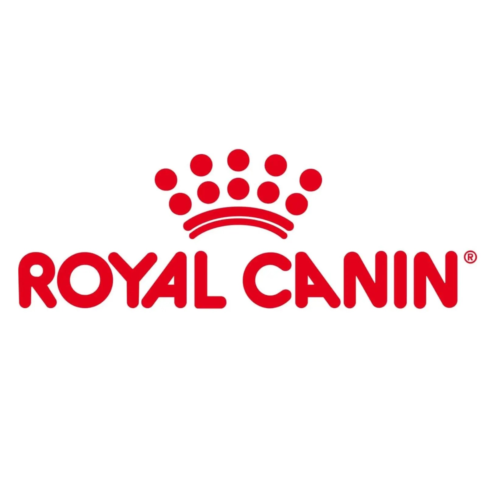 Royal Canin Second Age Kitten Food, 400 Grams, Dry Food containing Antioxidants with no artificial colors & flavors, Supports Brain Development & Microbiome, Promotes a strong Immune System ROYAL CANIN