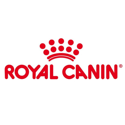 Royal Canin Second Age Kitten Food, 400 Grams, Dry Food containing Antioxidants with no artificial colors & flavors, Supports Brain Development & Microbiome, Promotes a strong Immune System ROYAL CANIN