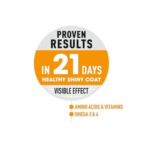 Royal Canin Skin & Hair Care for Adult Cats, 400 Grams, Dry Food with Added Amino Acids, Vitamins, and Omega 3 and 6, Supports Healthy Skin and Shiny Coat, Proven Results in 21 Days ROYAL CANIN