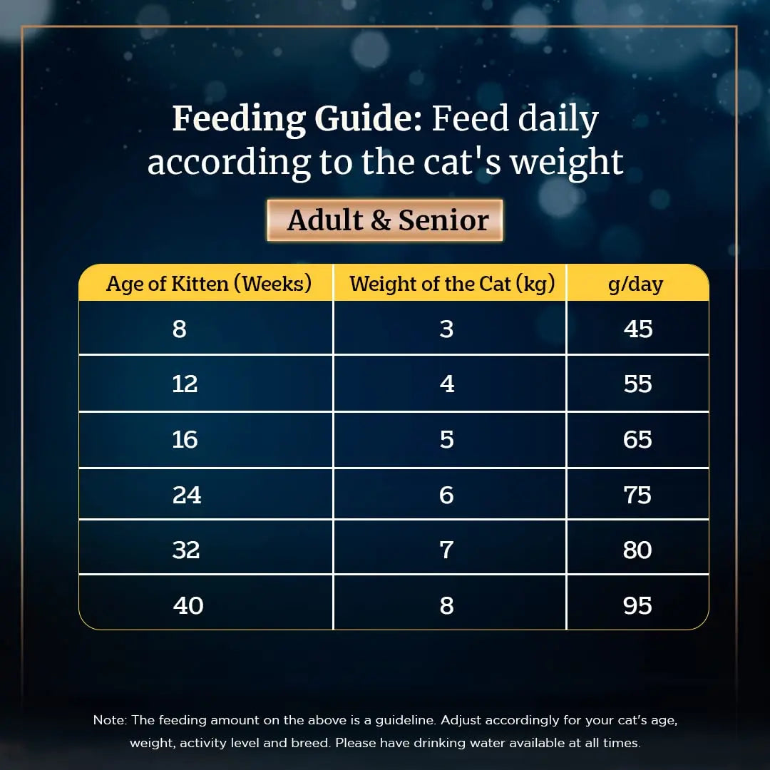 Sheba Kitten and Adult, Irresistible Dry Cat Food, Salmon Flavour, 1.5kg Sheba